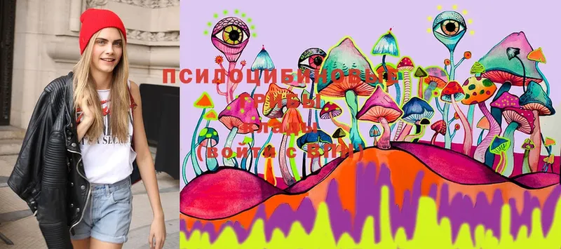 Псилоцибиновые грибы MAGIC MUSHROOMS  Медынь 